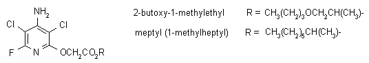 ṹʽ