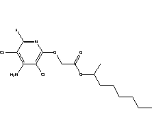 结构式