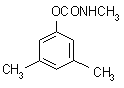 ṹʽ