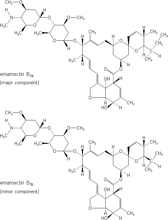 ṹʽ