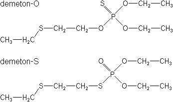结构式