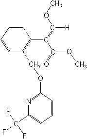ṹʽ