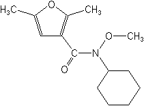 ṹʽ